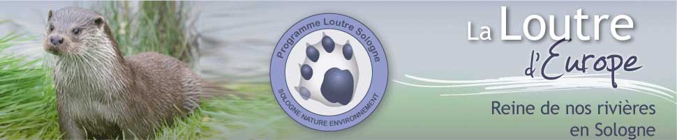 visuel-loutre