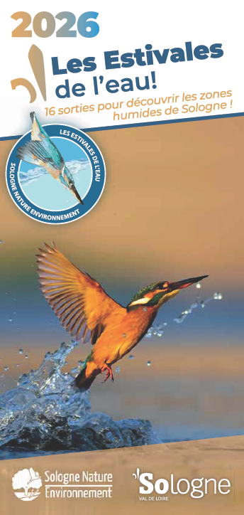 Télécharger notre calendrier des estivales de l'eau ! Image