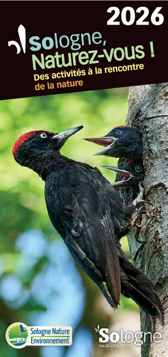 Téléchargez notre calendrier des découvertes nature ! Image
